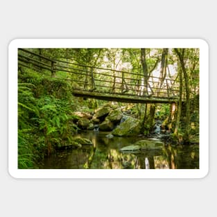 Wooden bridge near waterfall in Cabreia Portugal Sticker